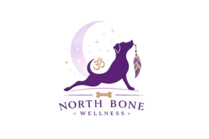 NorthBoneLogo-transparent