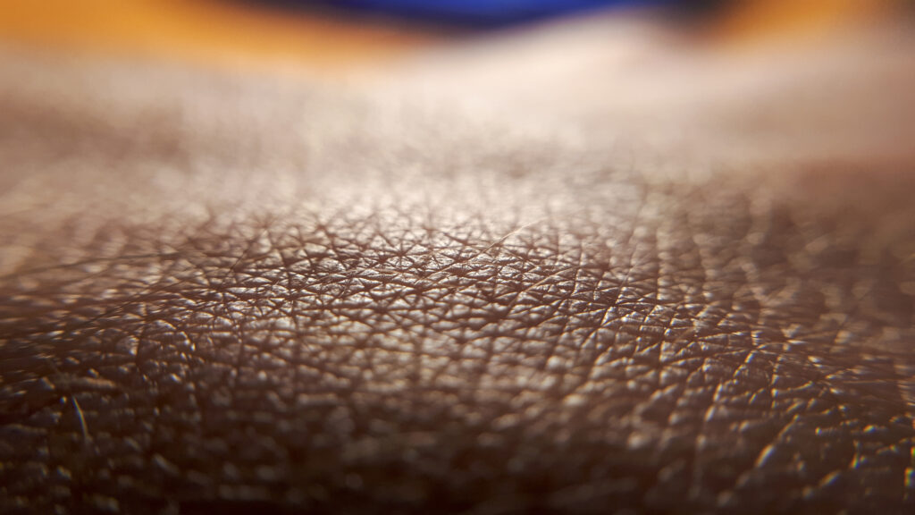 Closeup of human skin.