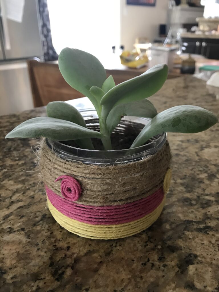 Earth Day Planter