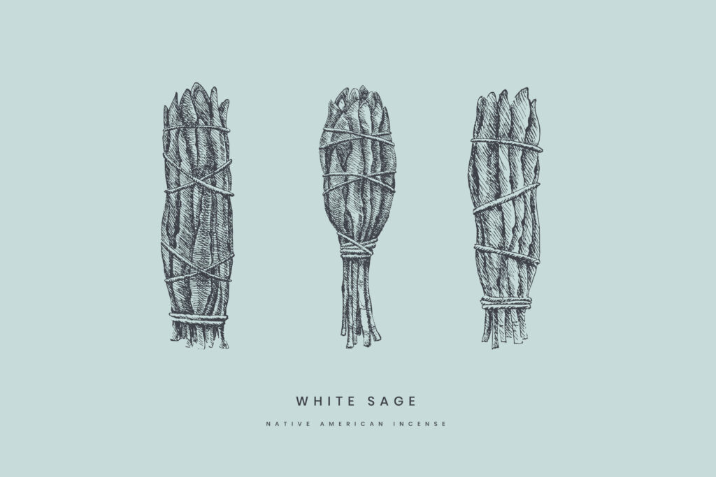 White Sage for Smudging