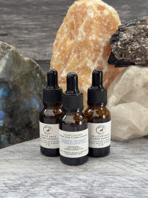 Essential Flower Essences